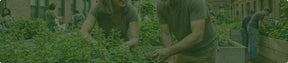 Our mission is to give everyone access to nature's most powerful ingredients.