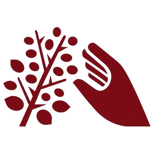 Resilia